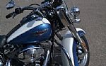 2005 Softail Thumbnail 8