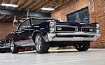 1966 GTO Thumbnail 4