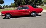 1964 Mustang Thumbnail 4