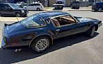 1980 Trans Am Thumbnail 4