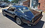 1980 Trans Am Thumbnail 5