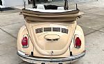 1971 Beetle Thumbnail 8