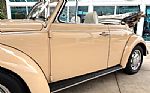 1971 Beetle Thumbnail 13