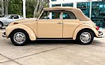 1971 Beetle Thumbnail 24