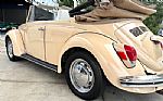 1971 Beetle Thumbnail 15