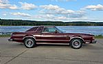 1979 Thunderbird Thumbnail 16