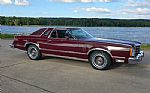 1979 Thunderbird Thumbnail 17