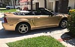 2000 Mustang Thumbnail 1