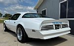 1975 Trans Am Thumbnail 11