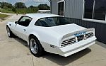 1975 Trans Am Thumbnail 57