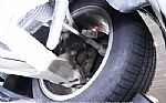 2003 Corvette Thumbnail 63