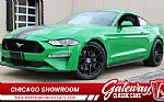 2019 Mustang GT Thumbnail 1