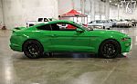 2019 Mustang GT Thumbnail 19