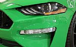 2019 Mustang GT Thumbnail 66