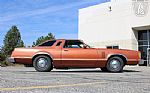 1979 Thunderbird Thumbnail 19