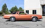 1979 Thunderbird Thumbnail 18