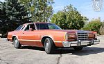 1979 Thunderbird Thumbnail 21