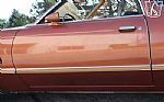 1979 Thunderbird Thumbnail 48