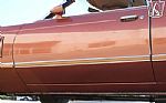 1979 Thunderbird Thumbnail 49
