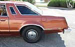 1979 Thunderbird Thumbnail 50