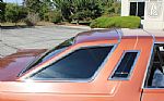 1979 Thunderbird Thumbnail 69
