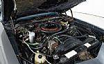 1981 Camaro Z/28 Thumbnail 3