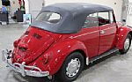 1967 Beetle Thumbnail 6