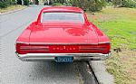 1966 GTO Tri-Fuel Thumbnail 2
