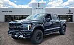 2025 F-150 Thumbnail 1