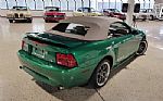 1999 Mustang GT Thumbnail 34