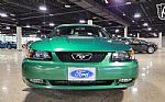 1999 Mustang GT Thumbnail 41