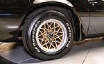 1979 Trans Am Special Edition Thumbnail 15