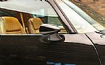 1979 Trans Am Special Edition Thumbnail 42