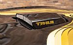 1979 Trans Am Special Edition Thumbnail 45