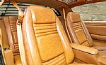 1979 Trans Am Special Edition Thumbnail 67