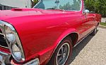 1965 GTO Thumbnail 16