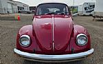 1969 Beetle Thumbnail 2