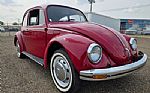1969 Beetle Thumbnail 3