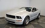 2006 Mustang GT Prostreet Thumbnail 7