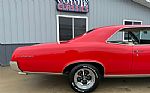 1967 GTO Tribute Thumbnail 16