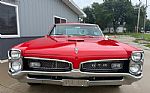 1967 GTO Tribute Thumbnail 42