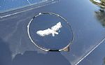 1979 Corvette Coupe Thumbnail 34