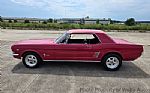 1966 Mustang Thumbnail 11