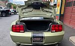 2006 Mustang Thumbnail 17