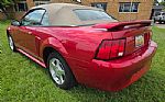 2002 Mustang Thumbnail 5