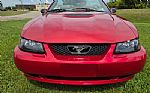 2002 Mustang Thumbnail 11