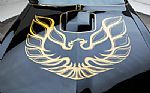 1978 Trans Am Thumbnail 24