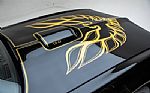 1978 Trans Am Thumbnail 38