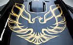 1978 Trans Am Thumbnail 76