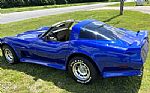 1979 Corvette Thumbnail 42